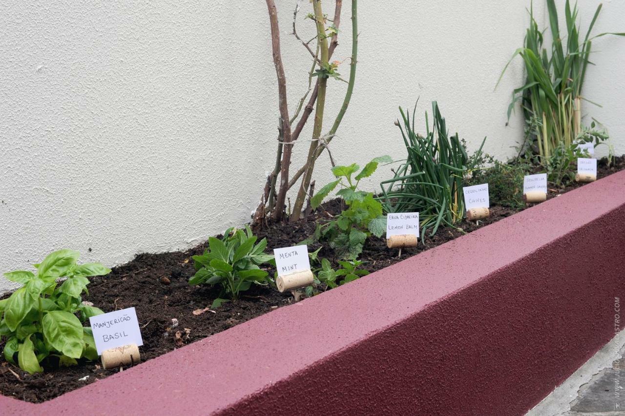 Apartamento Quinta Do Faial Funchal  Eksteriør billede